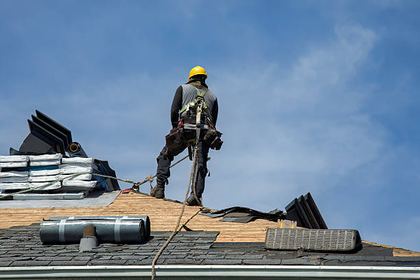 Professional Roof Replacement technician working in Robards, KY